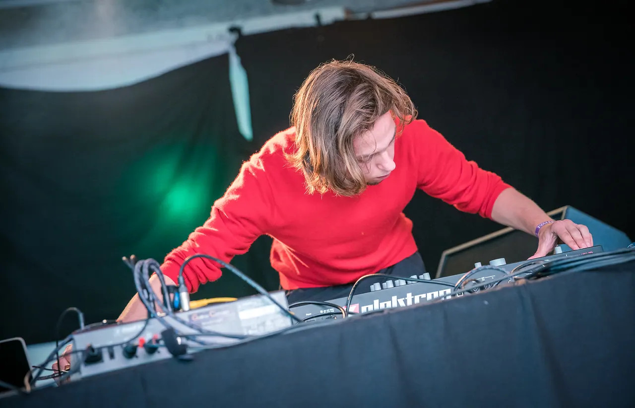 Layer V live an Les Digitales Bern 2017, Botanischer Garten Bern – Foto 18 von 18