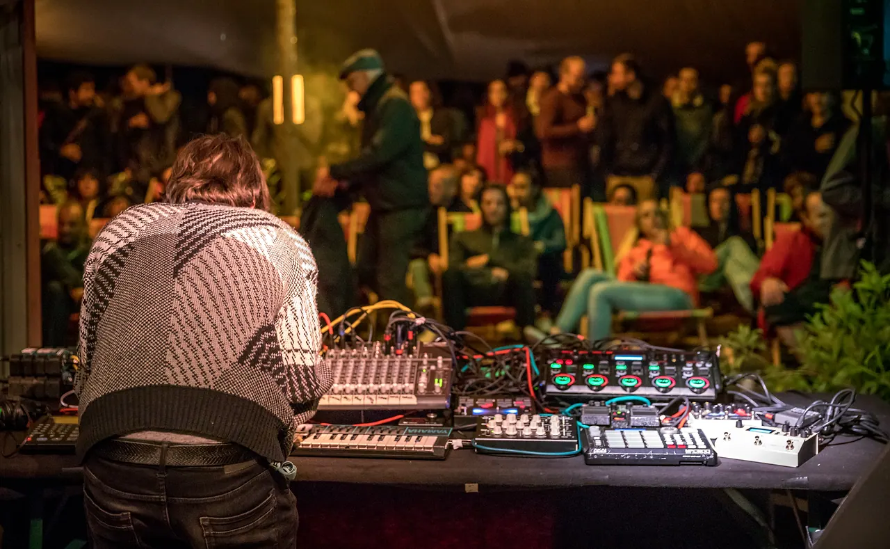 Nkelo live at Les Digitales Bern 2017, Botanischer Garten Bern – photo 9 of 14