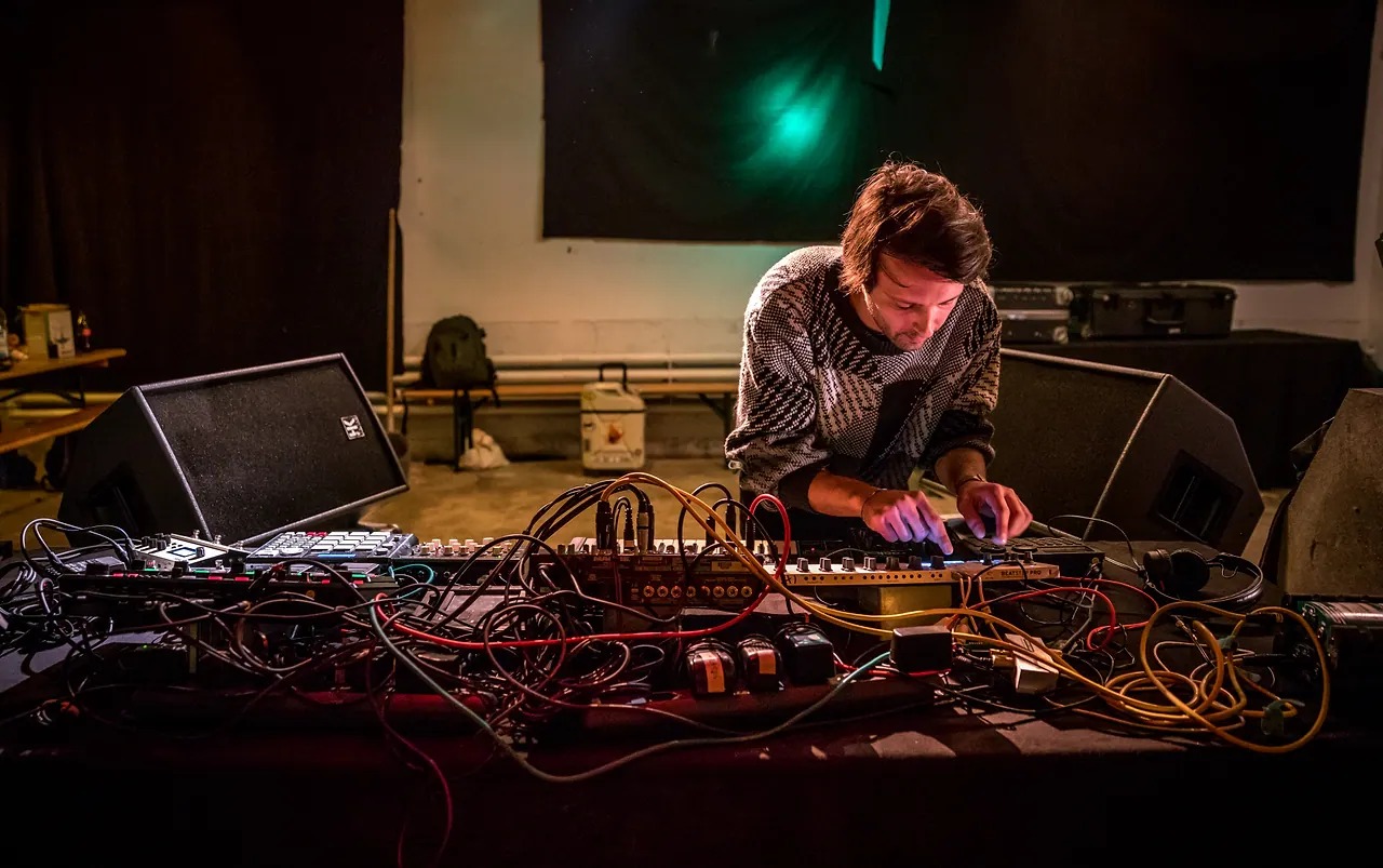 Nkelo live at Les Digitales Bern 2017, Botanischer Garten Bern – photo 13 of 14
