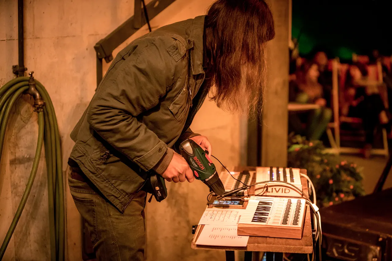 Okra live an Les Digitales Bern 2017, Botanischer Garten Bern – Foto 7 von 16