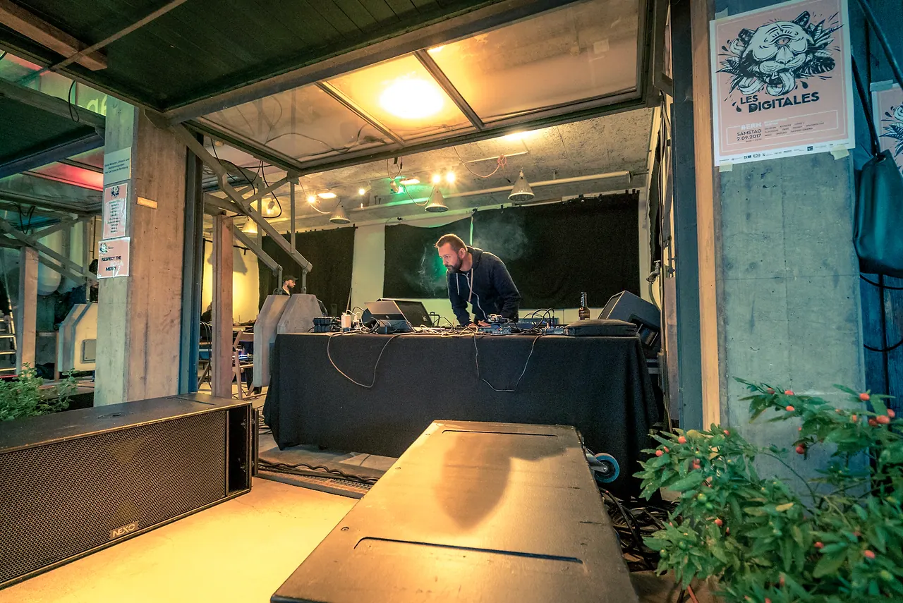 Play/Pause live an Les Digitales Bern 2017, Botanischer Garten Bern – Foto 14 von 17