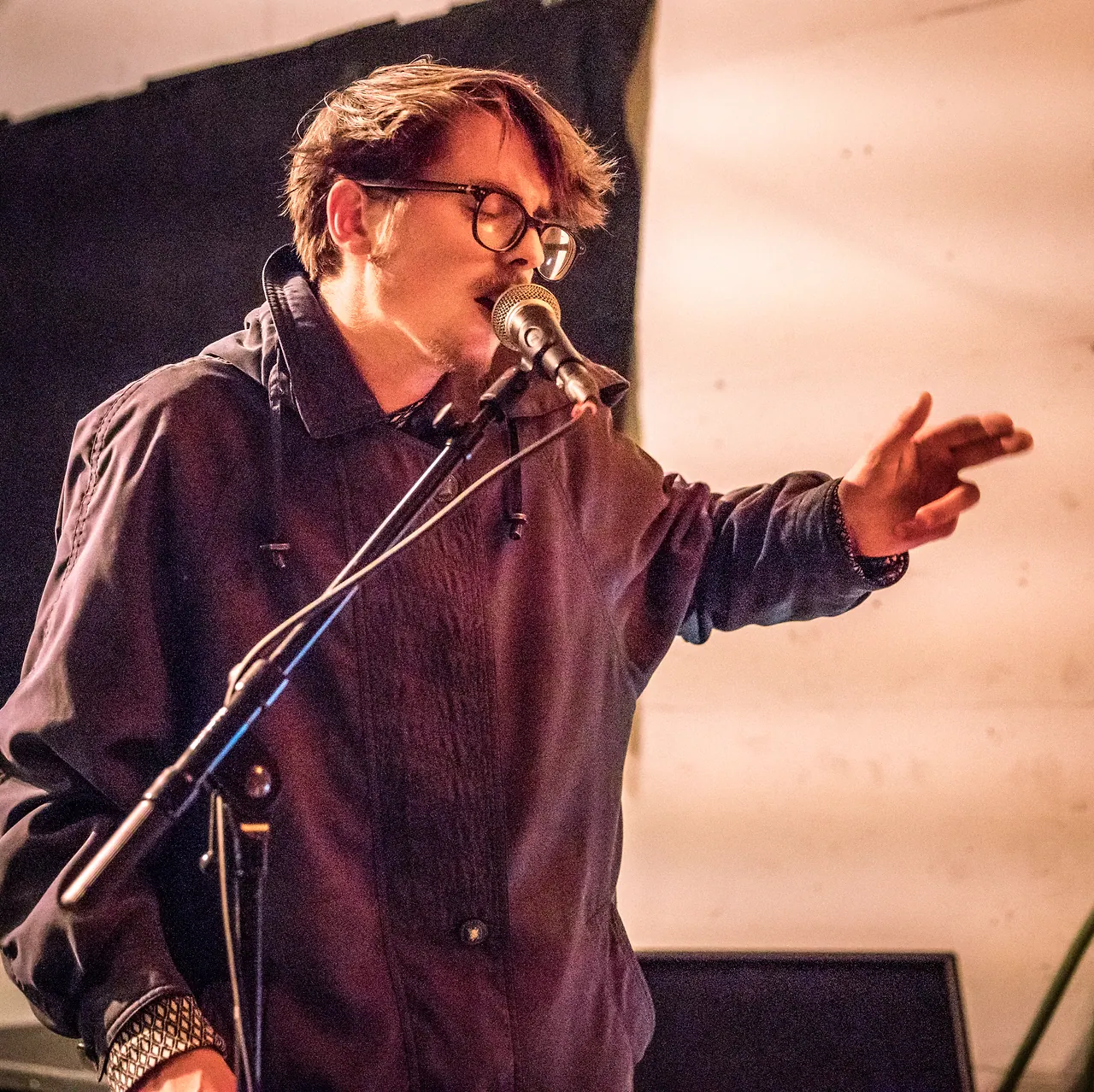 Wassily live an Les Digitales Bern 2017, Botanischer Garten Bern – Foto 3 von 13