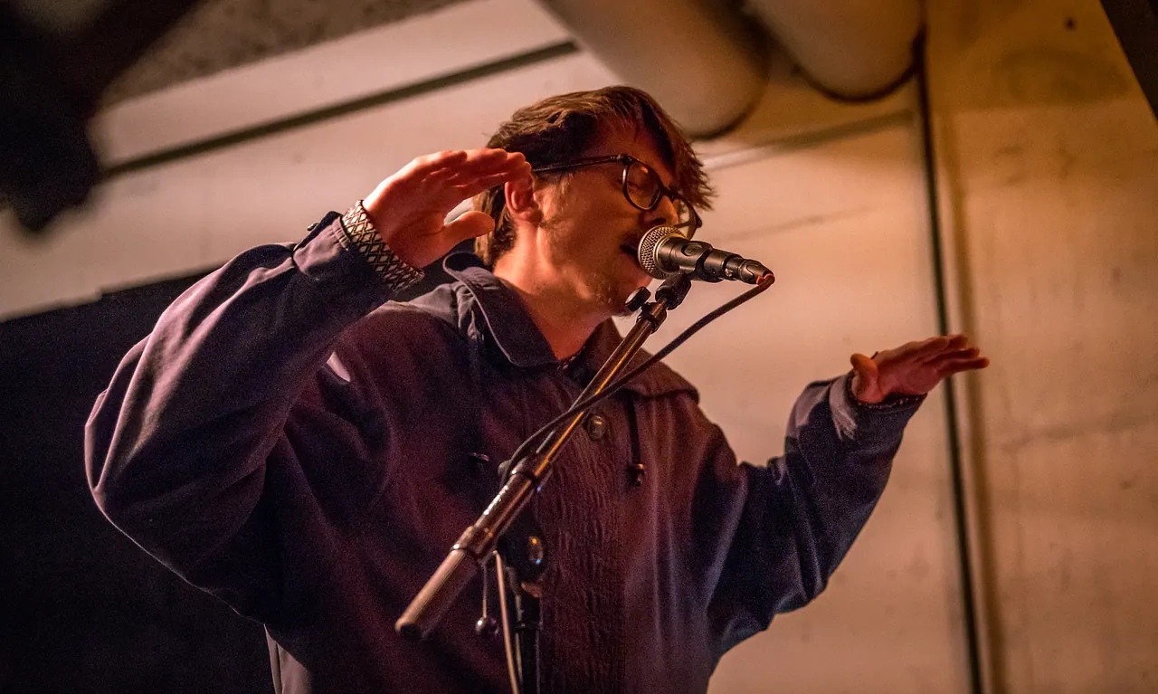 Wassily live an Les Digitales Bern 2017, Botanischer Garten Bern – Foto 5 von 13
