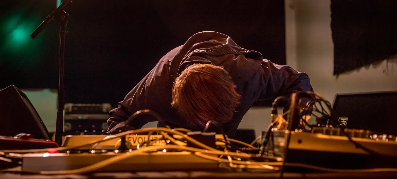 Wassily live an Les Digitales Bern 2017, Botanischer Garten Bern – Foto 6 von 13