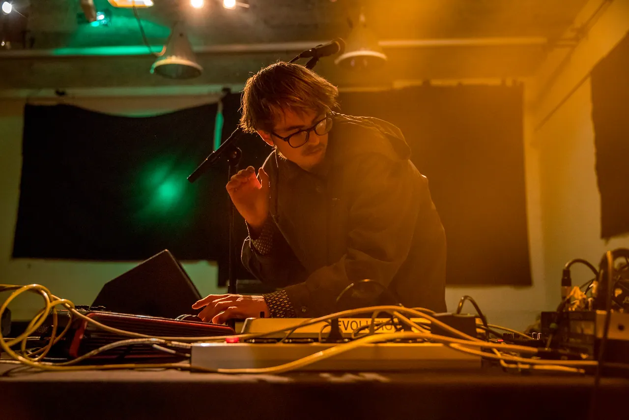 Wassily live an Les Digitales Bern 2017, Botanischer Garten Bern – Foto 7 von 13