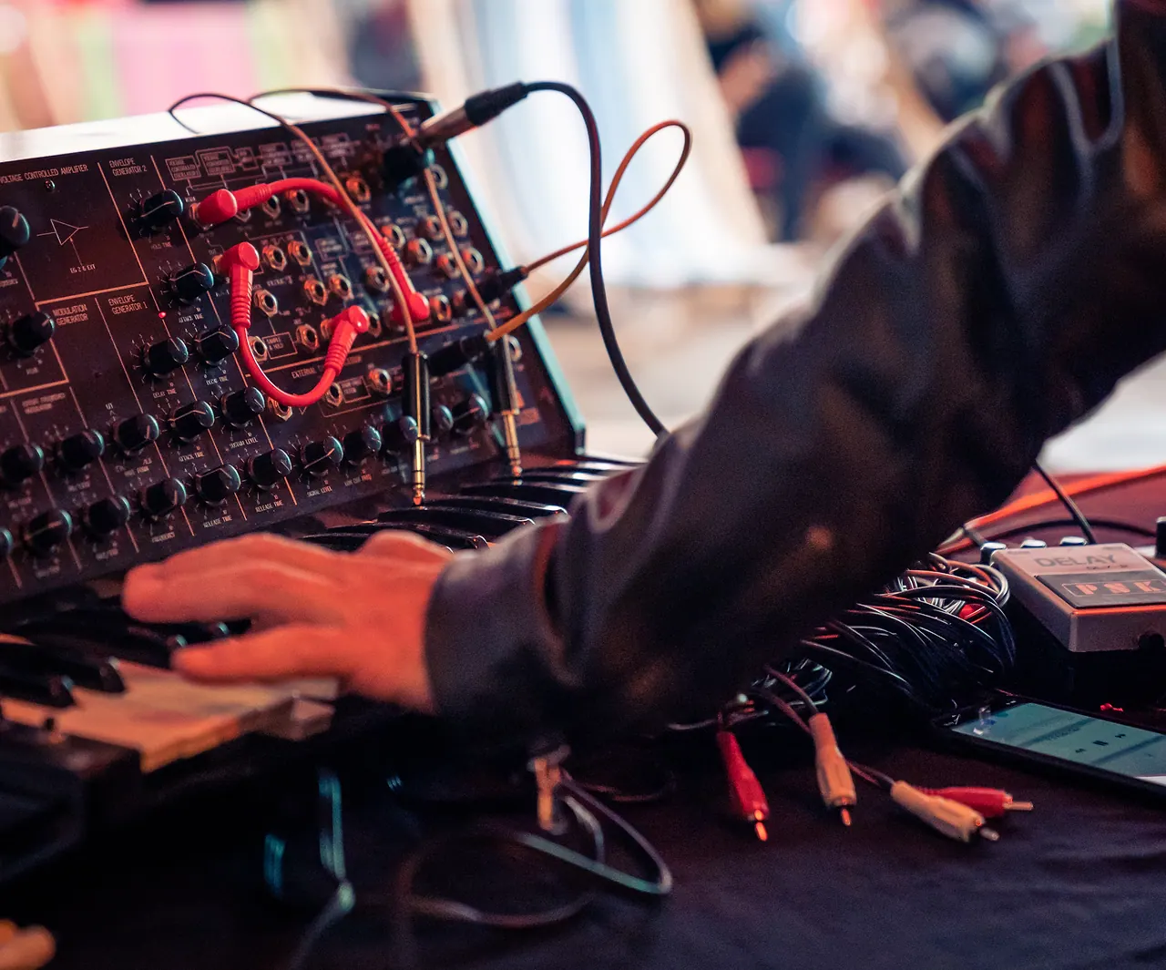 Dynamic Noise Unlimited d.n.u.l. live an Les Digitales Bern 2018, Botanischer Garten Bern – Foto 7 von 21
