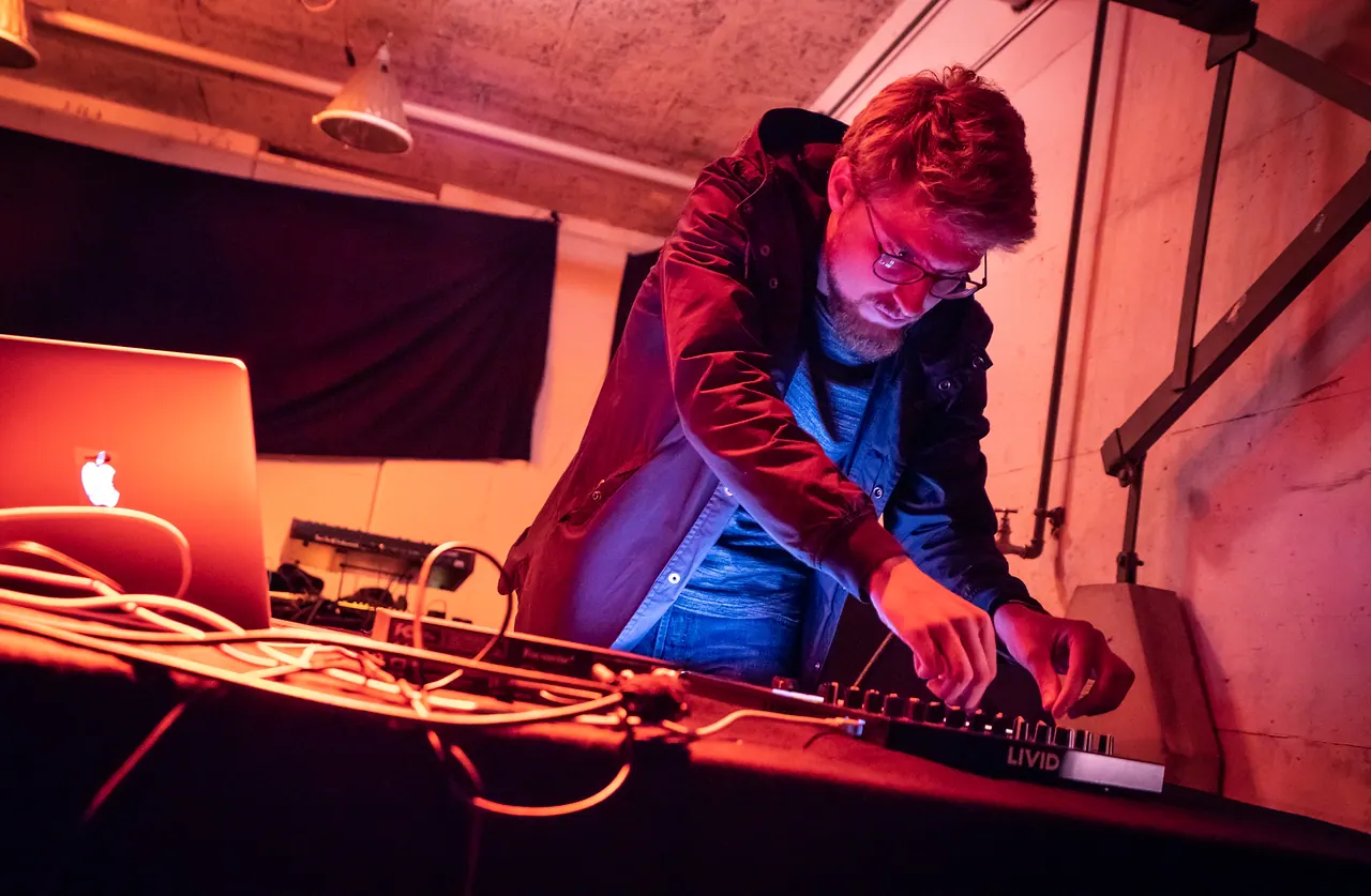 Nikolas Wabe live at Les Digitales Bern 2018, Botanischer Garten Bern – photo 7 of 15