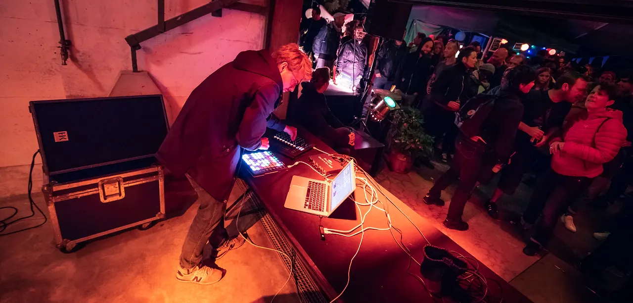 Nikolas Wabe live at Les Digitales Bern 2018, Botanischer Garten Bern – photo 10 of 15