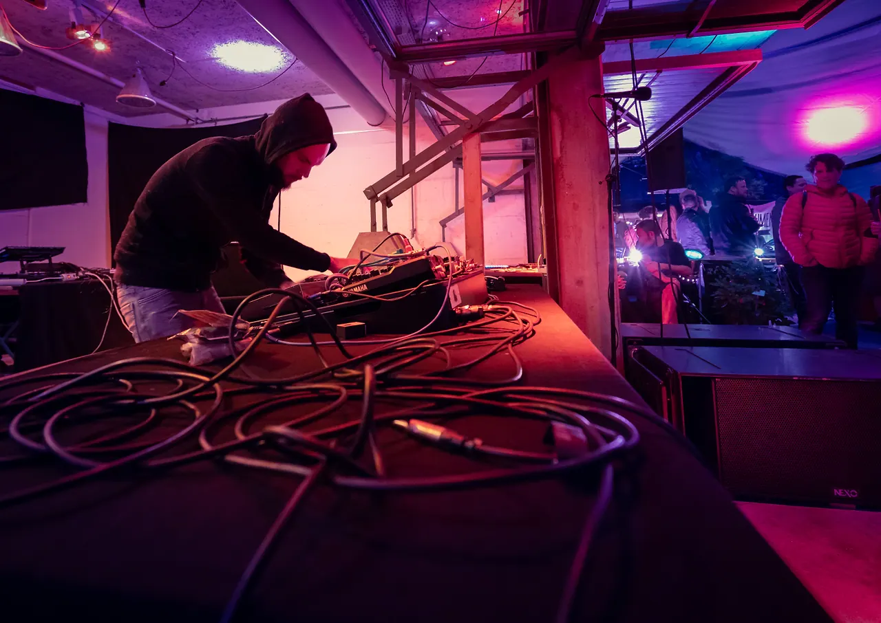 Remove live an Les Digitales Bern 2018, Botanischer Garten Bern – Foto 14 von 15