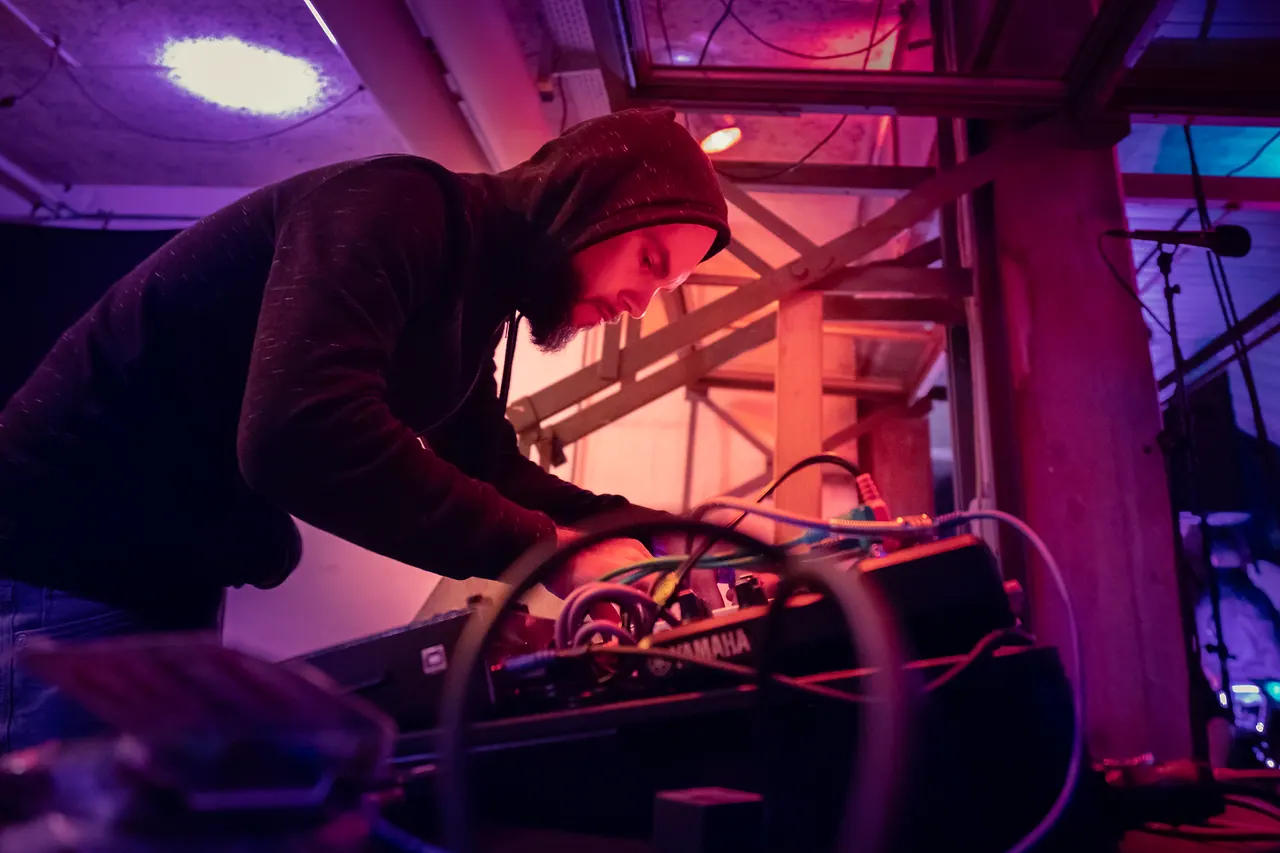 Remove live an Les Digitales Bern 2018, Botanischer Garten Bern – Foto 15 von 15