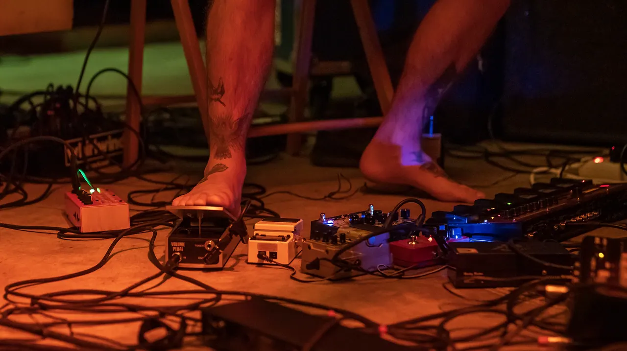 Swamp Flower Rhyme live an Les Digitales Bern 2019, Botanischer Garten Bern – Foto 3 von 22