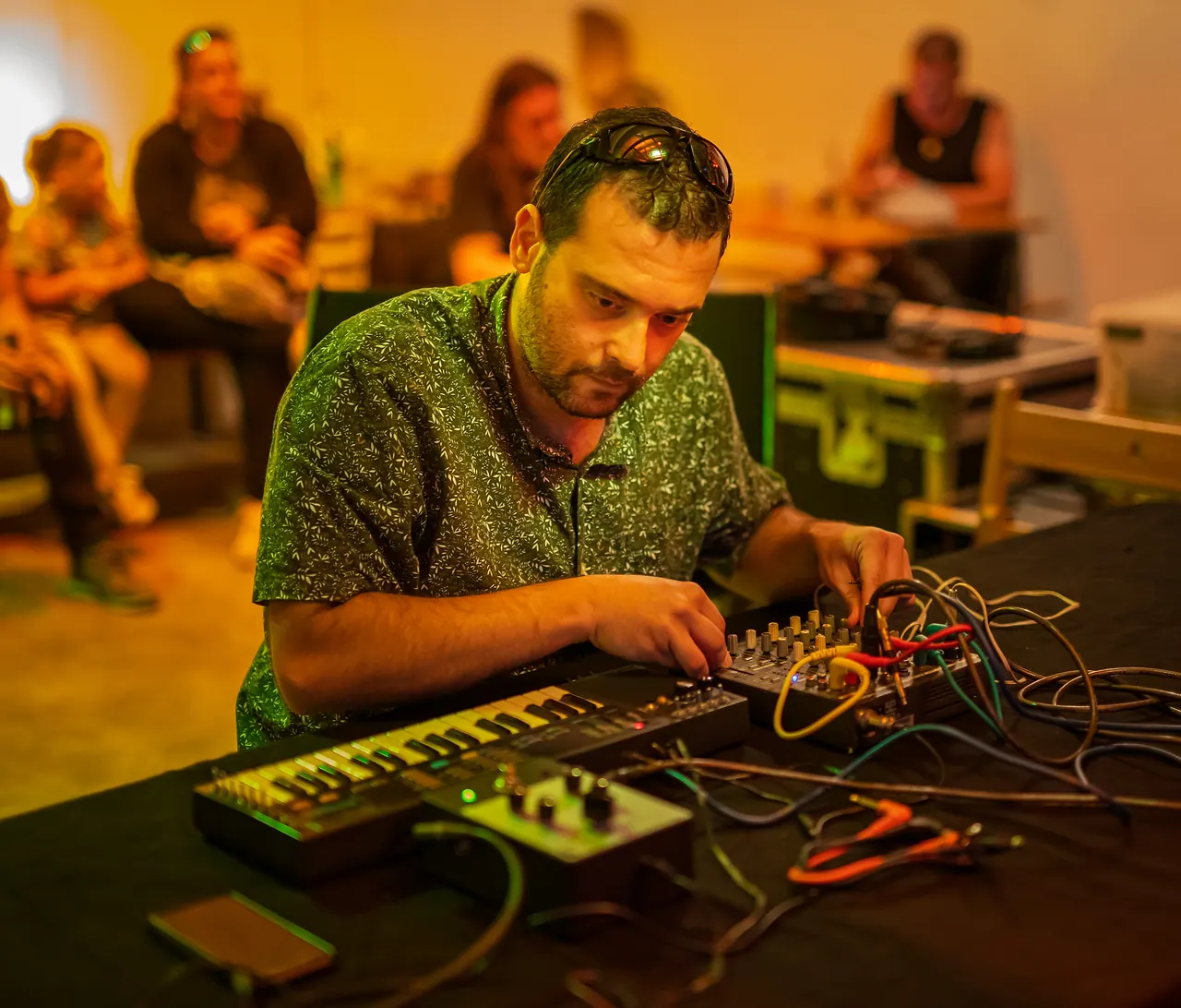 Tanto live at Les Digitales Bern 2019, Botanischer Garten Bern – photo 12 of 12