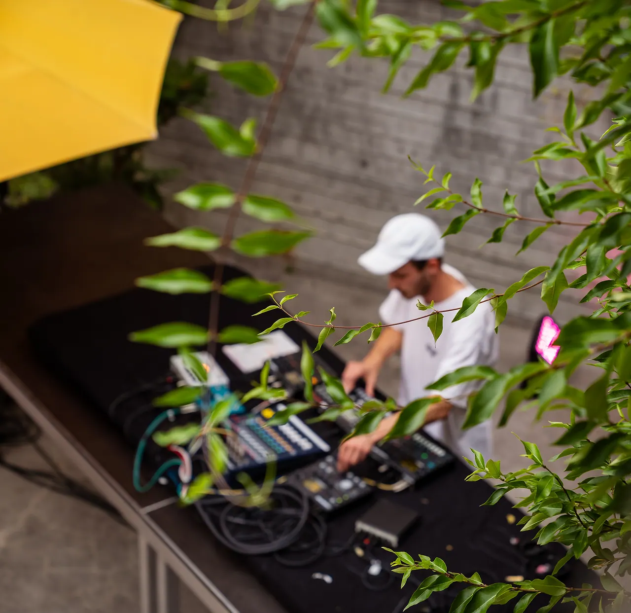 Fels live an Les Digitales Bern 2023, Botanischer Garten Bern – Foto 17 von 19