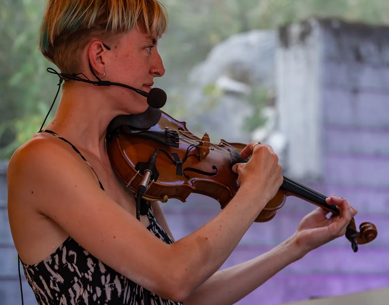 Junee live an Les Digitales Bern 2023, Botanischer Garten Bern – Foto 8 von 22